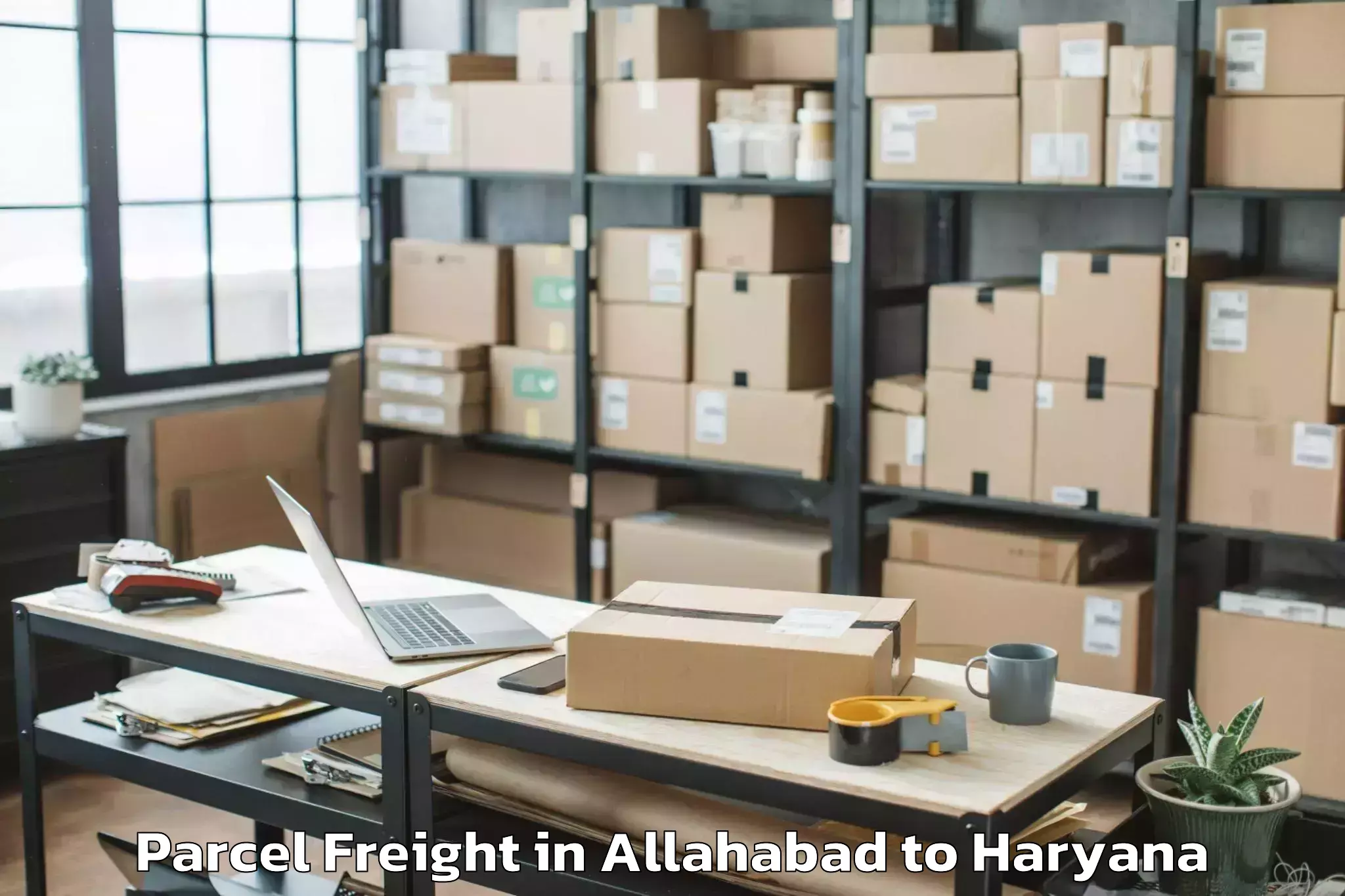 Hassle-Free Allahabad to Mahendragarh Parcel Freight